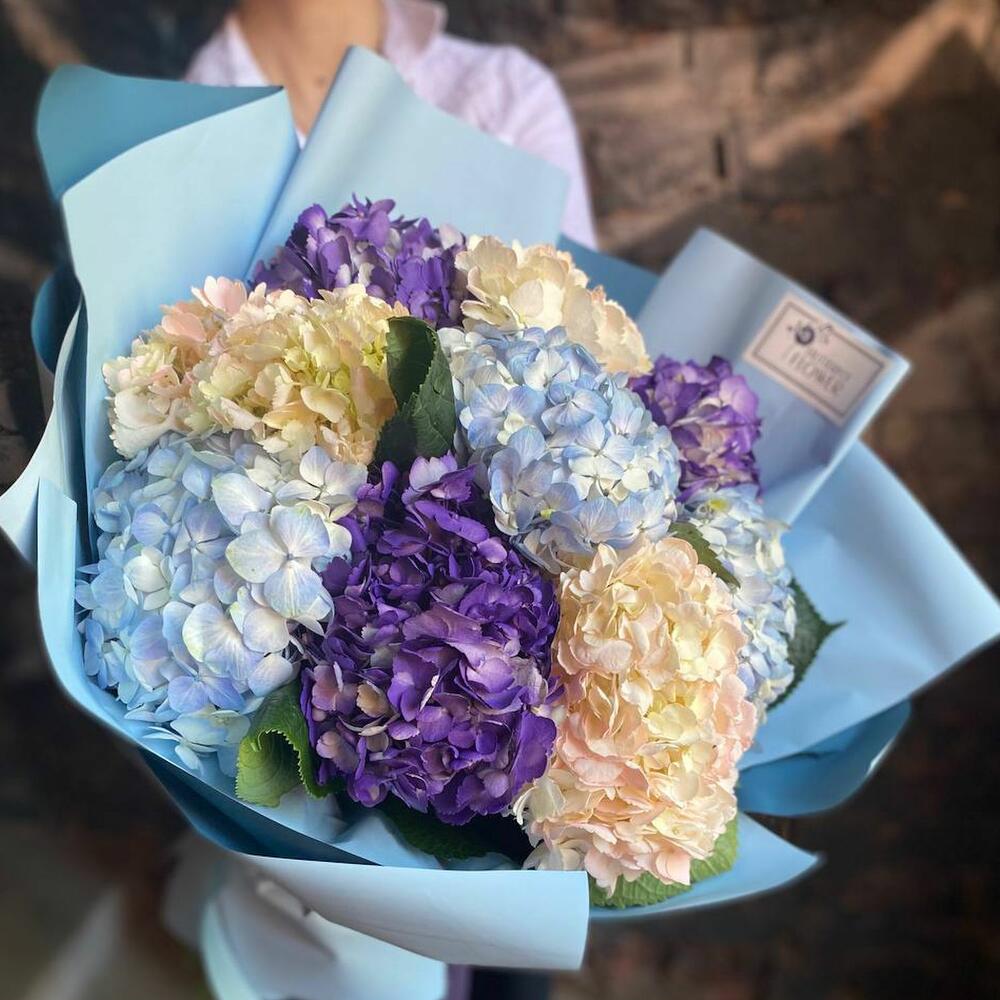 Букет из 9 гортензий 