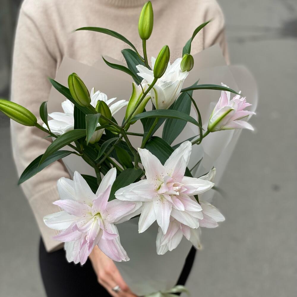 Лилия пионовидная, махровая монобукет