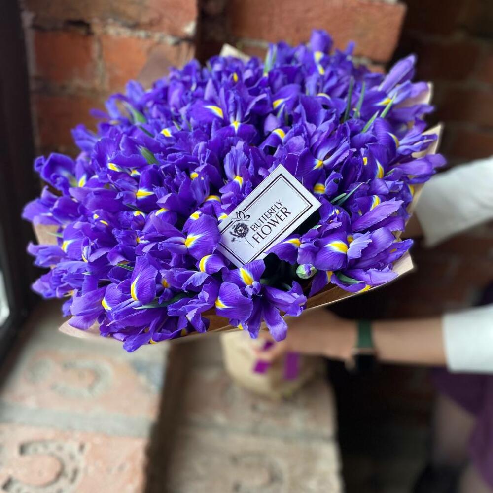 Букет из 75 ирисов в стильной упаковке 