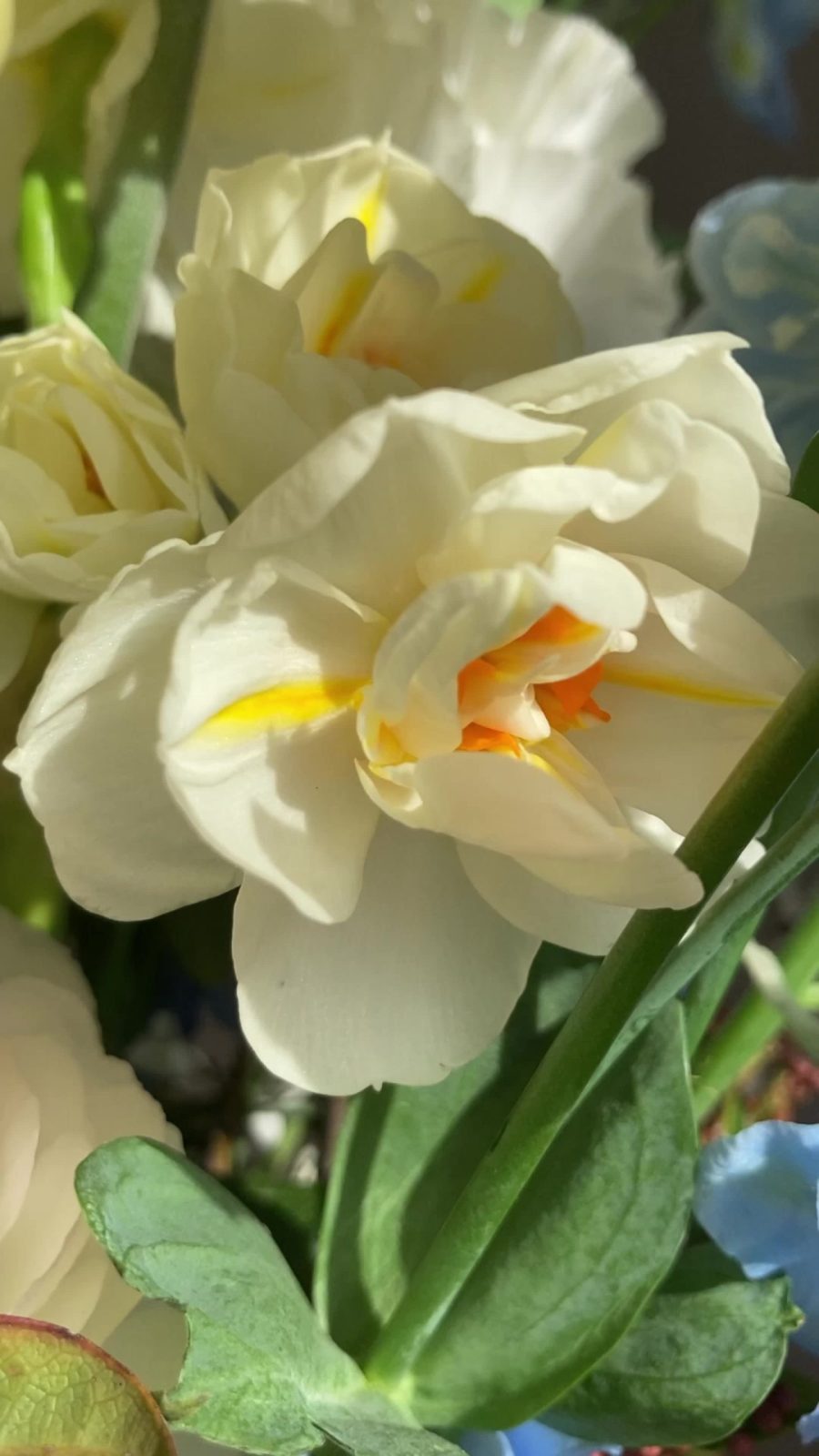 Букет с нарциссами, дельфиниумом и кудрявой герберой