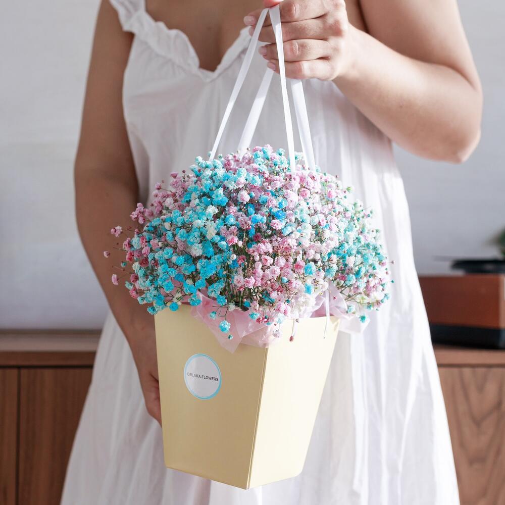 Тутти-Фрутти, гипсофила