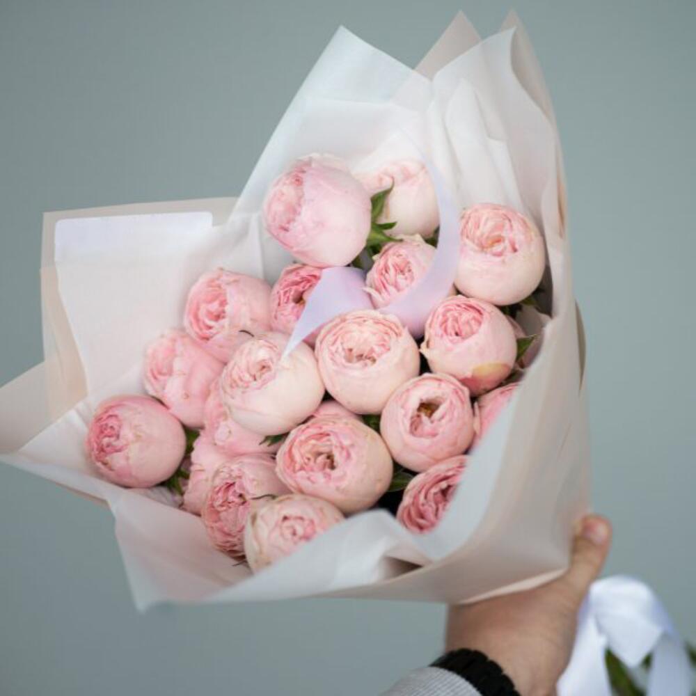 5 веток кустовой пионовидной розы Мендсвилд Парк