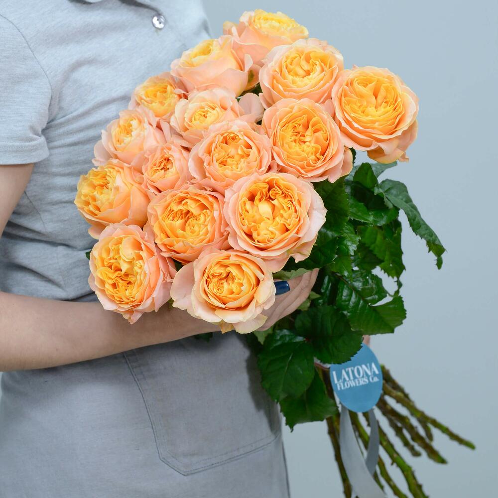 Розы Behave 15 шт - Latona Flowers