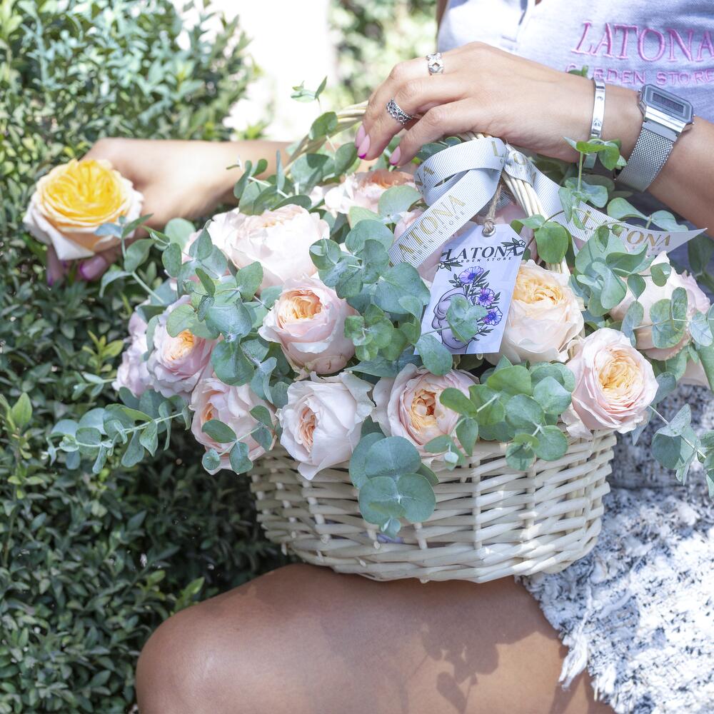 Корзина с огнем