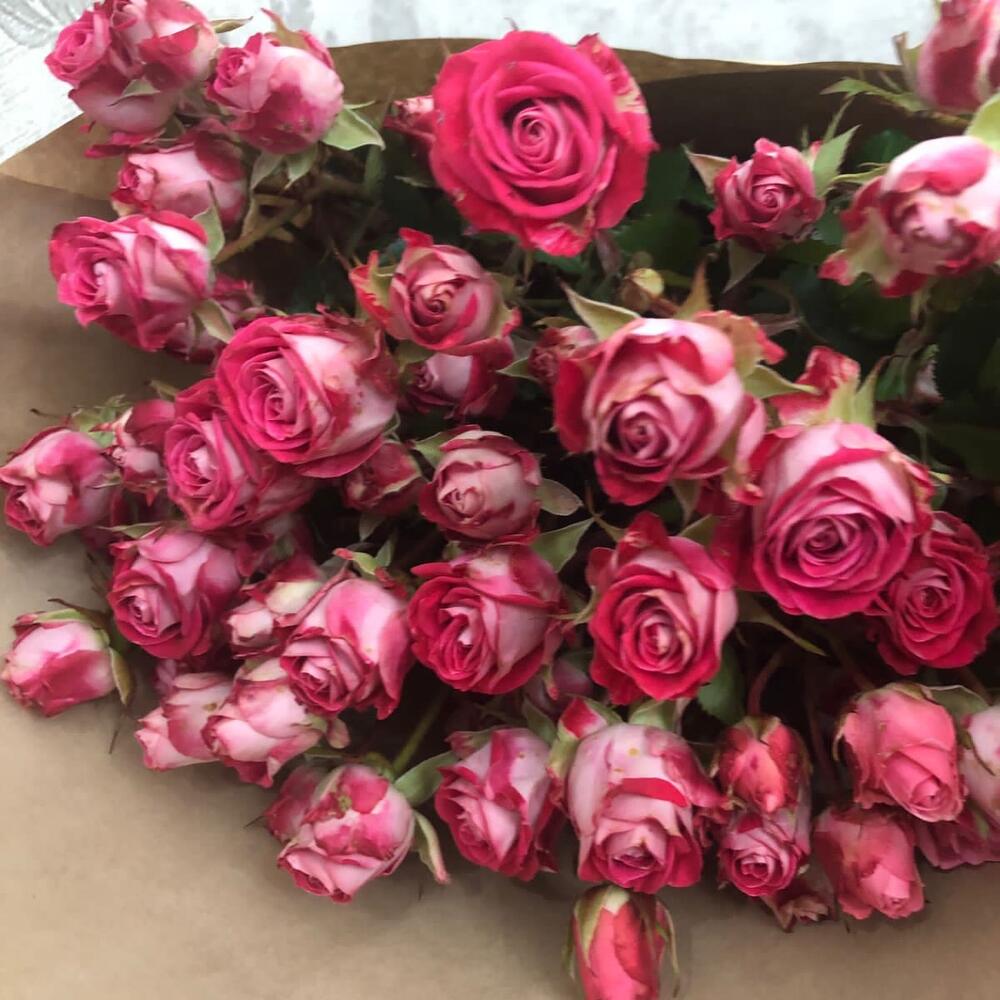 Букет из кустовых роз