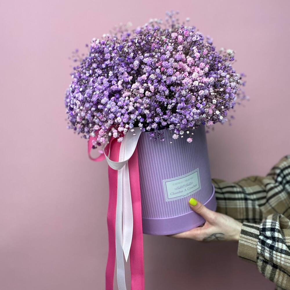 Сиреневая гипсофила в коробке