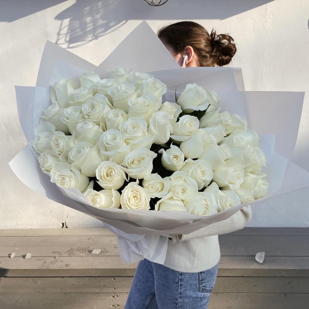 51 Роза - сорт proud