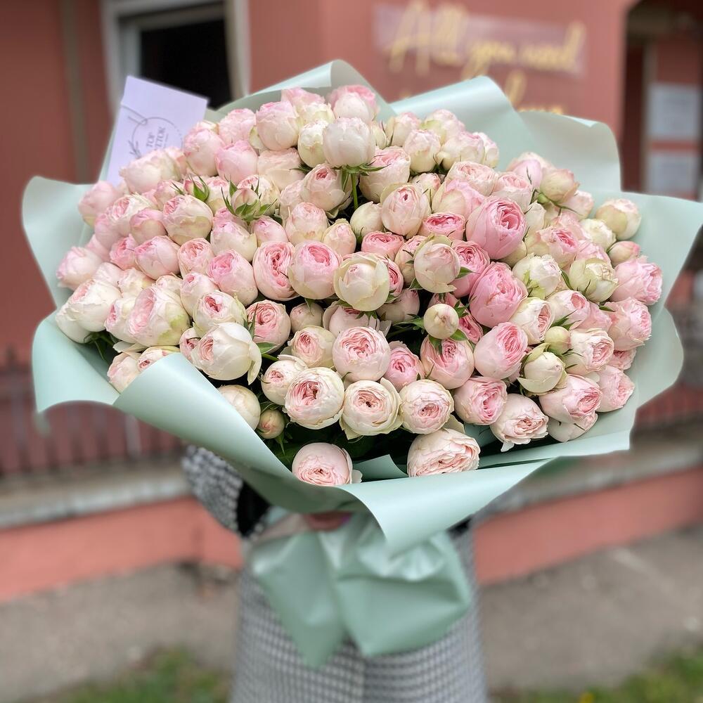 171 пионовидная кустовая розочка