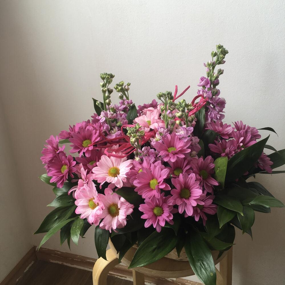 Violet love in a basket